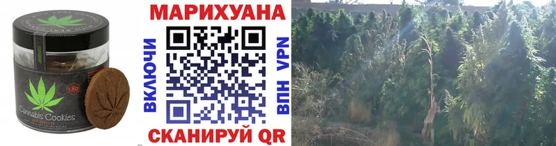 Печенье с ТГК конопля  нарко площадка как зайти  Медногорск  цена наркотик 