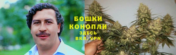 МДПВ Володарск