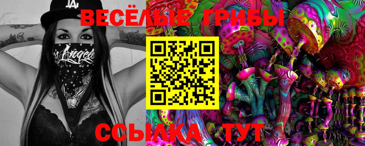 Псилоцибиновые грибы мицелий Медногорск