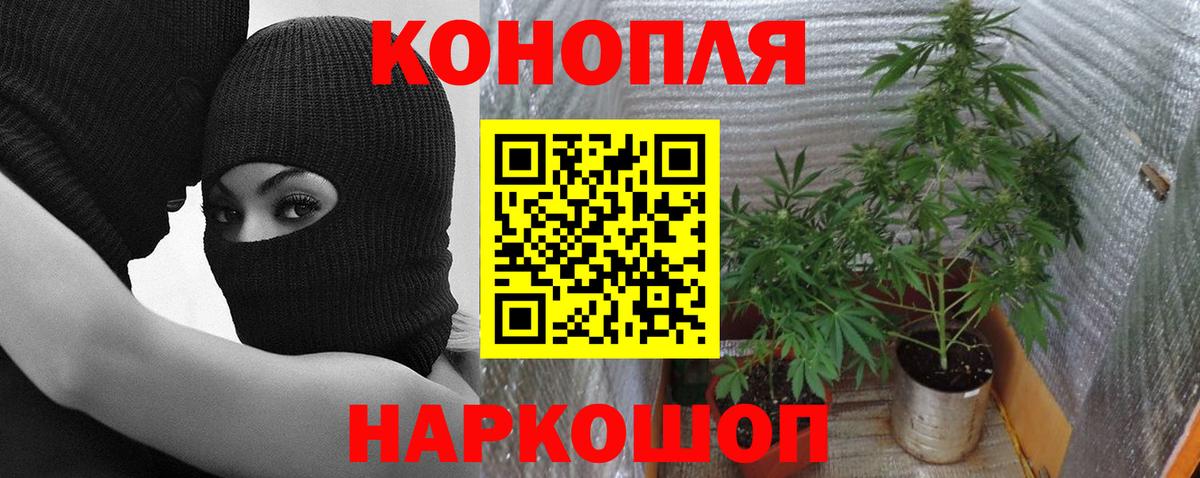 Марихуана конопля  Марихуана семена  Медногорск  Шишки марихуана White Widow 